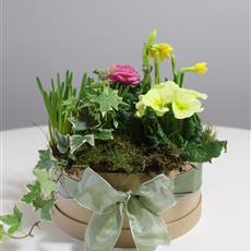 Planted Hatbox