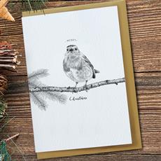 The Gardener&#39;s Friend - The Robin Red Breast 