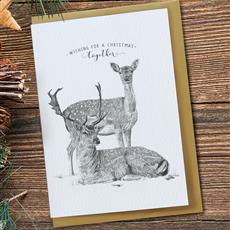 Deer &amp; Stag