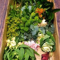 Christmas Box of Flowers
