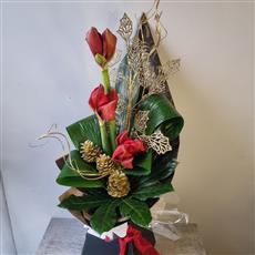 Festive Burgandy Amaryllis 