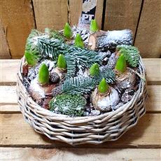 Hyacinth planter in round woven basket