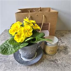 Prim in a Teacup &amp; St Eval Candle Gift Set