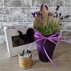Lavender Scent Gift Bag 