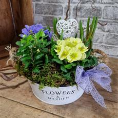 Florist Choice Planted Container