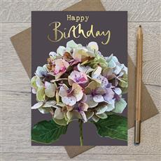 Stephanie Davies  Birthday Cards - Sweet Treats 