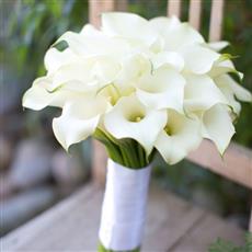 Bridal -The &#39;Classic&#39; One - Callas