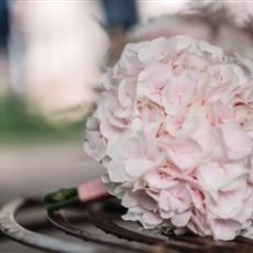 Bridesmaid- The &#39;Classic Hydrangea&#39; One