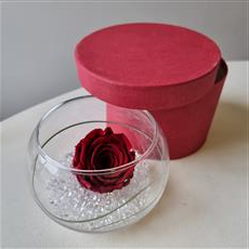 Signature Collection- The Cities Of Love - London