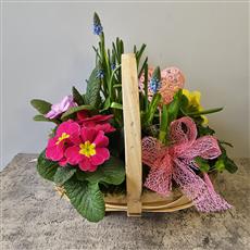 Florist Choice Spring Basket