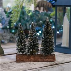 Three Needle Christmas Trees In Wooden Base