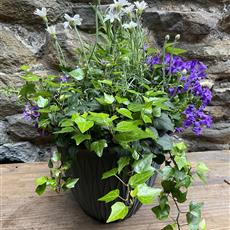 Mixed out-door planter
