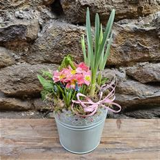 Spring Tin Planter