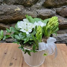 The 'Classic' Spring Planter